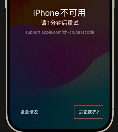 安宁苹果手机密码维修分享iPhone忘记了刚设置的密码 